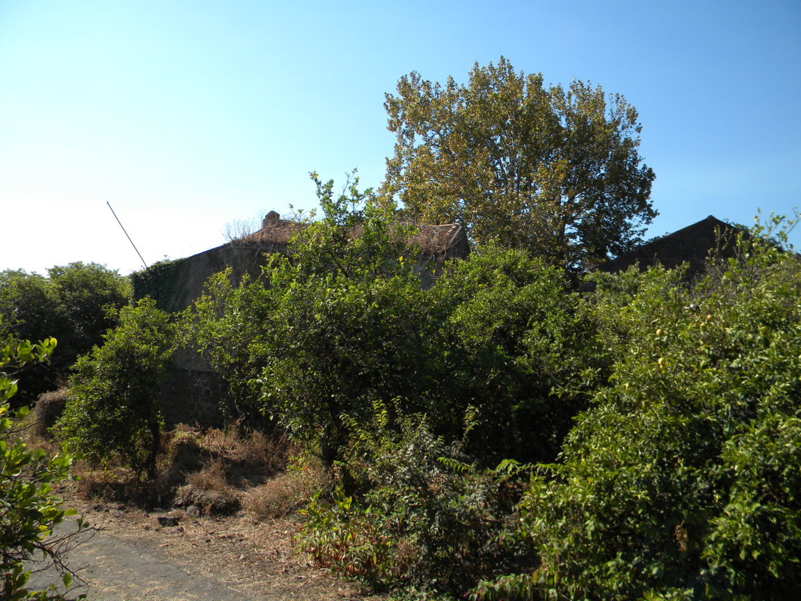 DSCN8194 .JPG